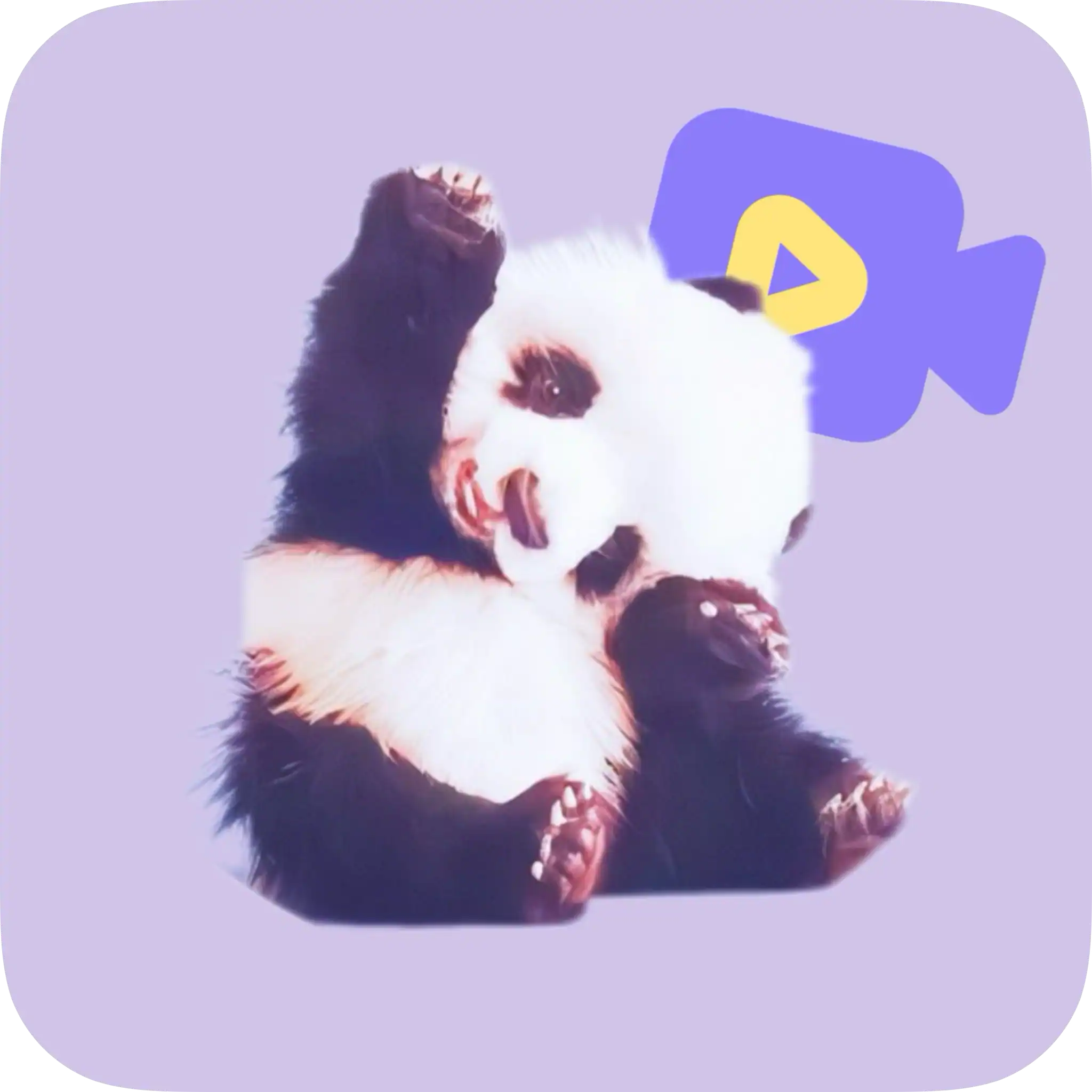 熊猫影视